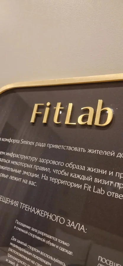 Объёмное название крупным планом — FitLab — Sminex